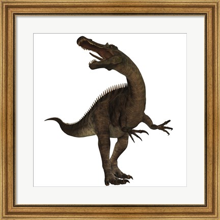 Framed Suchomimus, a large spinosaurid dinosaur Print