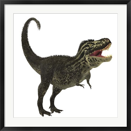 Framed Tyrannosaurus Rex, a large predatory beast of the Cretaceous period Print