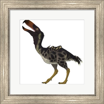 Framed Kelenken is an extinct genus of giant flightless predatory birds Print