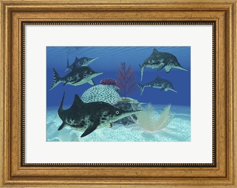 Framed group of large Ichthyosaurus marine reptiles swimming in prehistoric waters Print