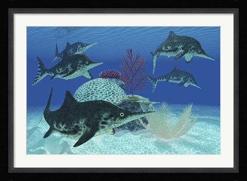 Framed group of large Ichthyosaurus marine reptiles swimming in prehistoric waters Print