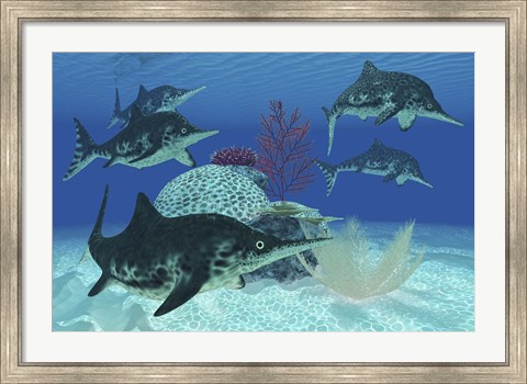 Framed group of large Ichthyosaurus marine reptiles swimming in prehistoric waters Print