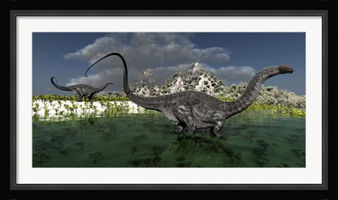 Framed Apatosaurus dinosaurs roam the wilderness of prehistoric times Print