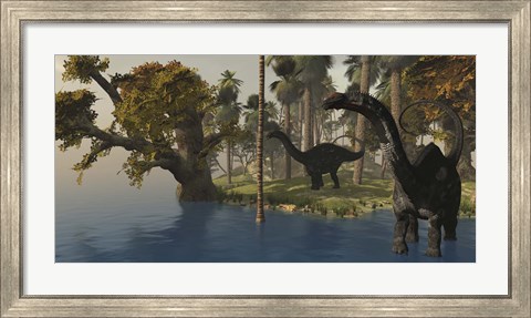Framed Two Apatosaurus dinosaurs visit an island in prehistoric times Print