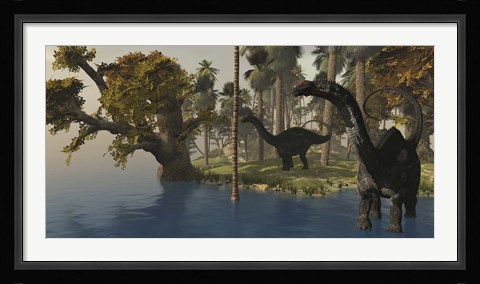 Framed Two Apatosaurus dinosaurs visit an island in prehistoric times Print