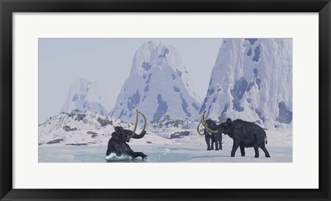 Framed Woolly Mammoth struggles for survival as he falls through ice on a frozen lake Print