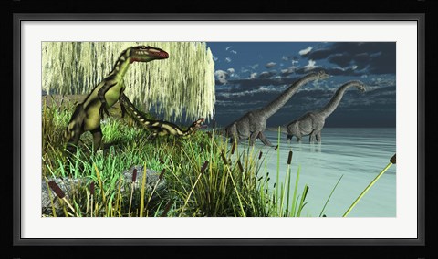 Framed Dilong dinosaurs watch two Brachiosaurus wade across a lake Print