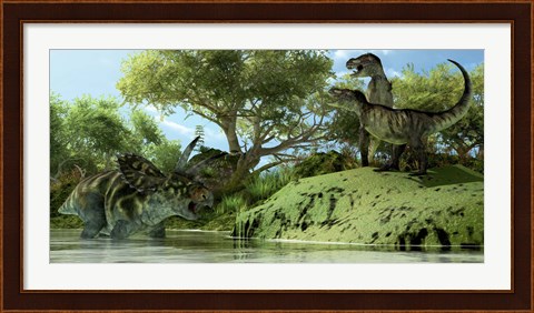 Framed Confrontation between two Tyrannosaurus Rex and a Coahuilaceratops Print