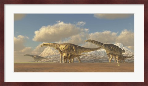 Framed herd of Argentinosaurus dinosaurs Print
