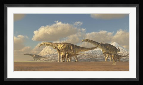 Framed herd of Argentinosaurus dinosaurs Print