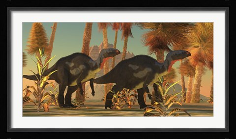 Framed Camptosaurus dinosaurs wander through a prehistoric jungle Print