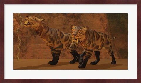 Framed Two Smilodon cats find protection in a vast cave system Print
