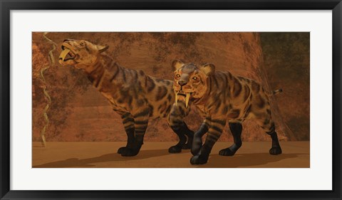 Framed Two Smilodon cats find protection in a vast cave system Print