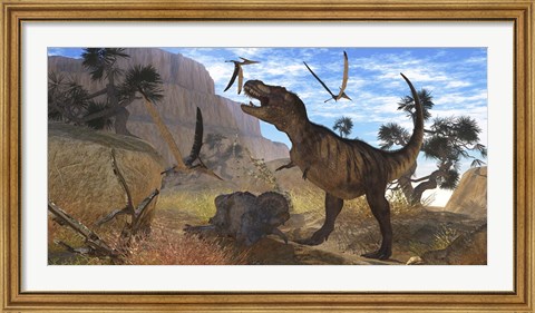 Framed Tyrannosaurus Rex attempts to eat his Triceratops kill while Pteranodons harass him Print
