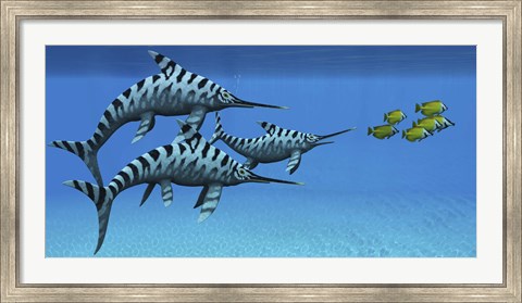 Framed group of fast swimming Eurhinosaurus marine reptiles Print