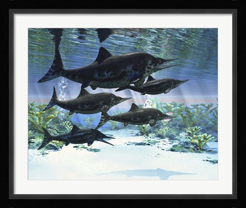 Framed group of Ichthyosaurs swimming in prehistoric waters Print