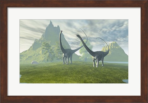 Framed Diplodocus dinosaurs walk together in the afternoon in the prehistoric age Print