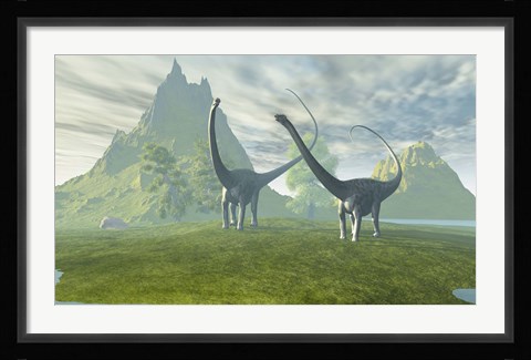 Framed Diplodocus dinosaurs walk together in the afternoon in the prehistoric age Print