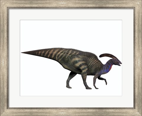 Framed Parasaurolophus, a herbivorous dinosaur from the Cretaceous period Print