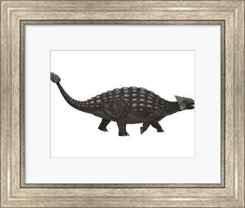 Framed Ankylosaurus, an armored dinosaur from the Cretaceous Period Print