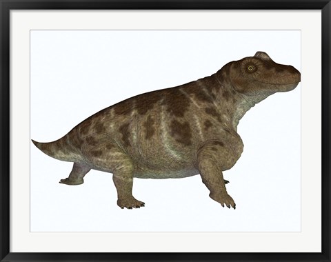 Framed Keratocephalus, a semi-aquatic dinosaur from the Permian Age Print