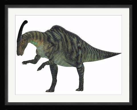 Framed Parasaurolophus Print