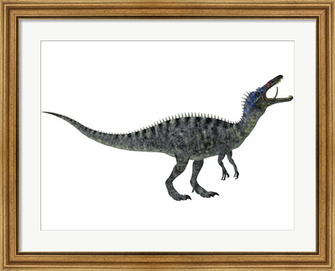 Framed Suchomimus, a large dinosaur from the Cretaceous Period Print