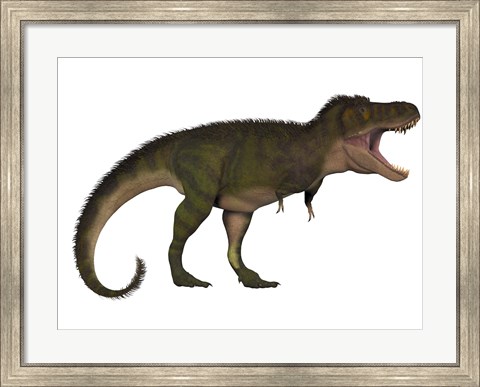 Framed Tyranosaurus Rex, a carnivore of the Cretaceous Period Print