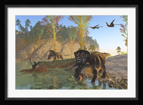 Framed Zuniceratops dinosaurs drinking water from a river Print