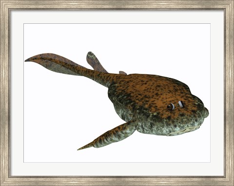 Framed Bothriolepis, a freshwater detritivore from the Devonian Period Print