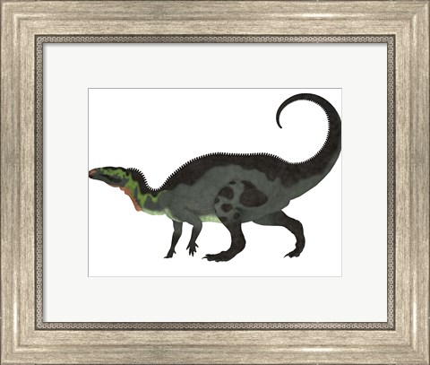 Framed Camptosaurus, a herbivorous dinosaur from the Late Jurassic Period Print