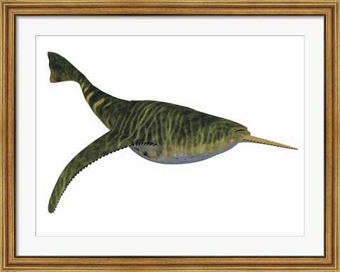 Framed Doryaspis is an extinct genus of primitive jawless fish Print