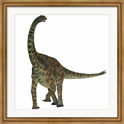 Framed Spinophorosaurus is a sauropod dinosaur from the Jurassic Period Print