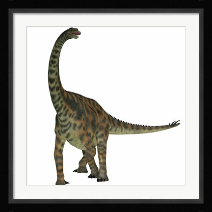 Framed Spinophorosaurus is a sauropod dinosaur from the Jurassic Period Print
