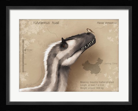 Framed Yutyrannus huali is a feathered tyrannosauroid from the Early Cretacous of China Print