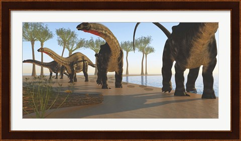 Framed herd of Apatosaurus dinosaurs Print