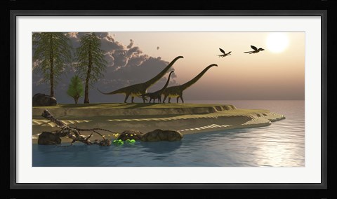 Framed Mamenchisaurus dinosaurs walk to a lake for a morning drink Print