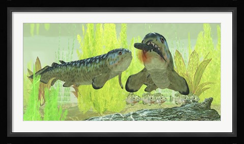 Framed Rhizodus hibberti, a group of Carboniferous lobe-finned fish Print