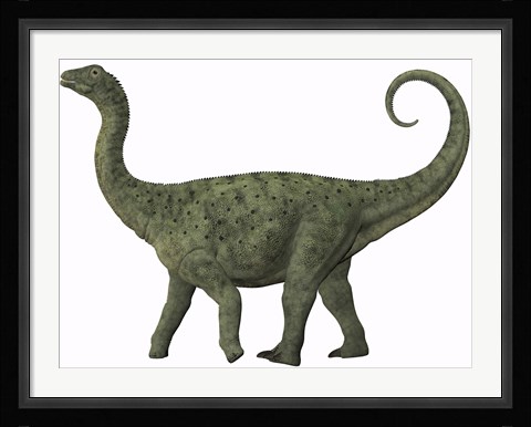 Framed juvenile Saltasaurus sauropod dinosaur of the Cretaceous Period Print