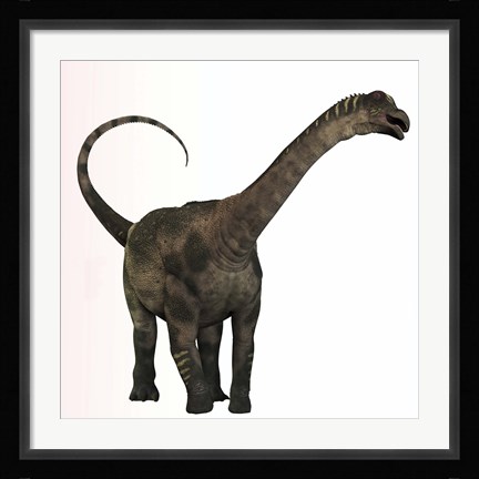 Framed Antarctosaurus dinosaur from the Cretaceous Period Print