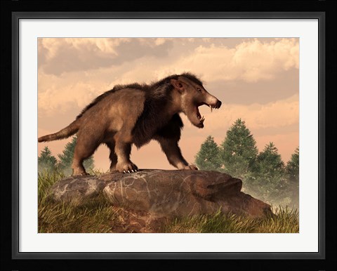 Framed Arctocyon on a rock Print