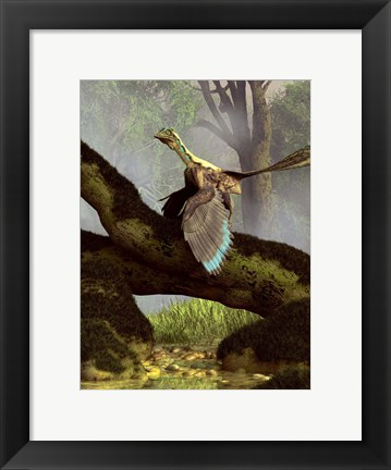 Framed Archaeopteryx on a log above a stream Print