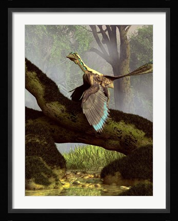 Framed Archaeopteryx on a log above a stream Print
