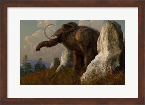 Framed mammoth standing among stones on a hillside Print