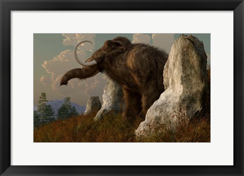 Framed mammoth standing among stones on a hillside Print