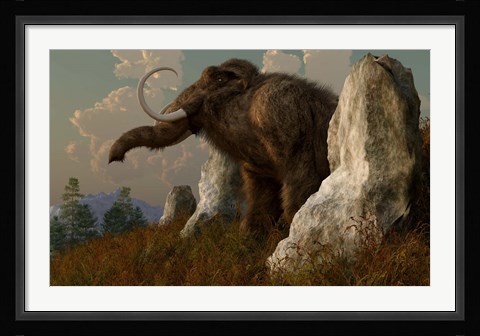 Framed mammoth standing among stones on a hillside Print