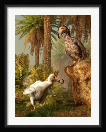 Framed pair of Dodo birds play a game of hide-and-seek Print
