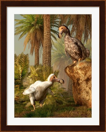 Framed pair of Dodo birds play a game of hide-and-seek Print