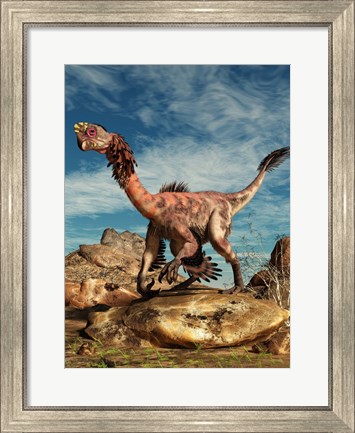 Framed Citipati on a rock in an arid landscape Print