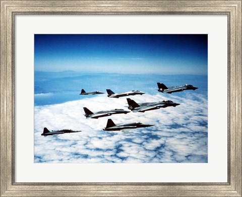 Framed Four F-14 Tomcats and three F-5 Tiger IIs in flight Print